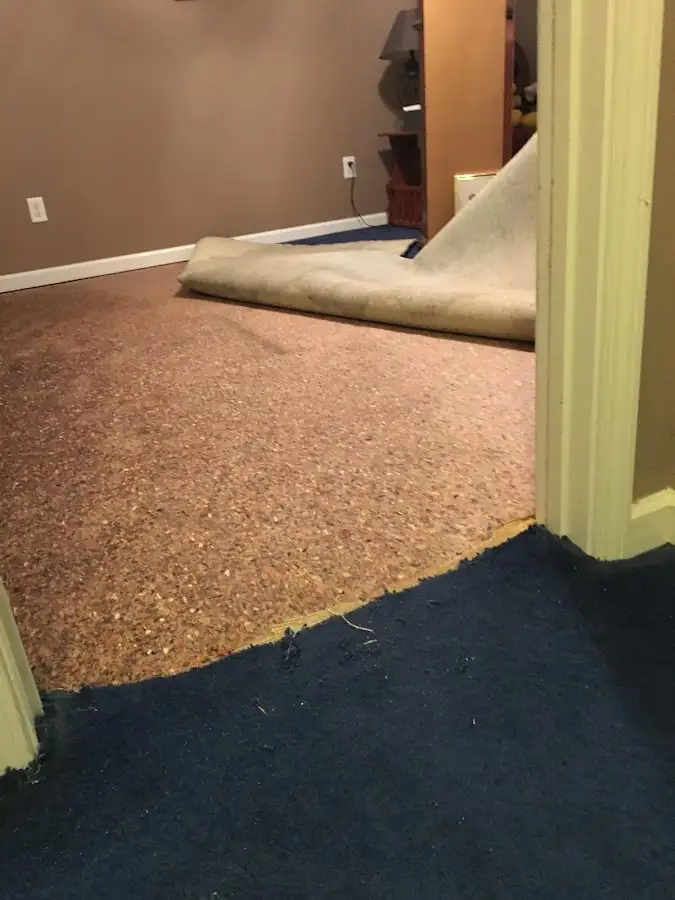Carpet pad removal revealing water damage during Drying & Dehumidification in Prior Lake