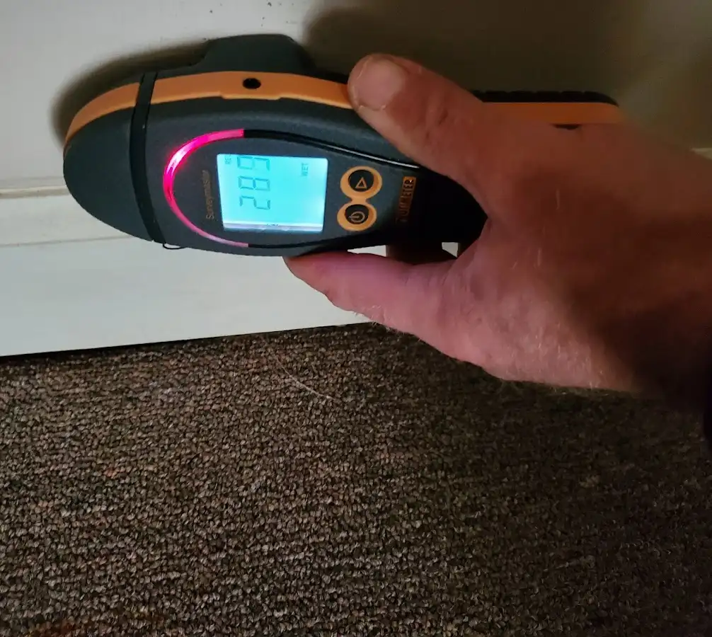 Moisture detection at baseboard during Sewage Cleanup & Sanitation in Prior Lake